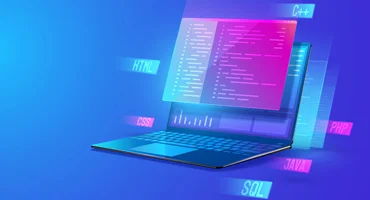 Professional Services